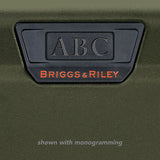 Briggs & Riley | Torq | Extra Large Trunk Spinner - Index Urban